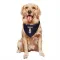 Cream Columbus Blue Jackets Zach Werenski  Navy  Dog & Cat Pet Bandana